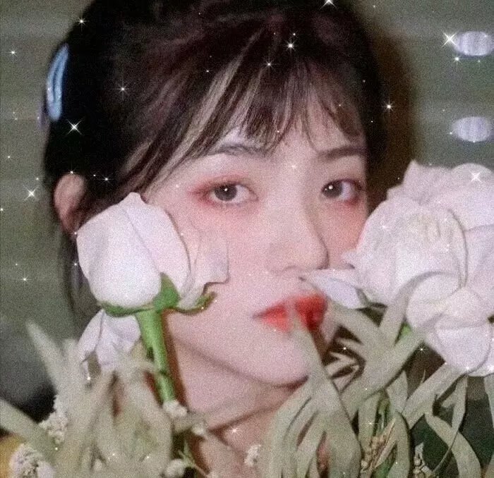 兄长,我是鹅不是天鹅